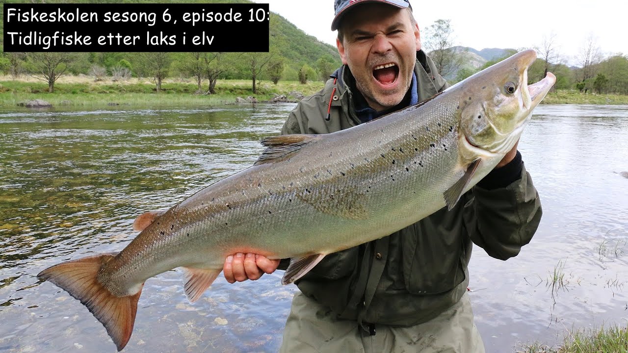 Fiskeskolen sesong 6, episode 10_ Tidligfiske etter laks i elv