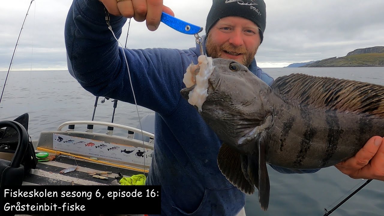 Fiskeskolen sesong 6, episode 16_ Gråsteinbit-fiske