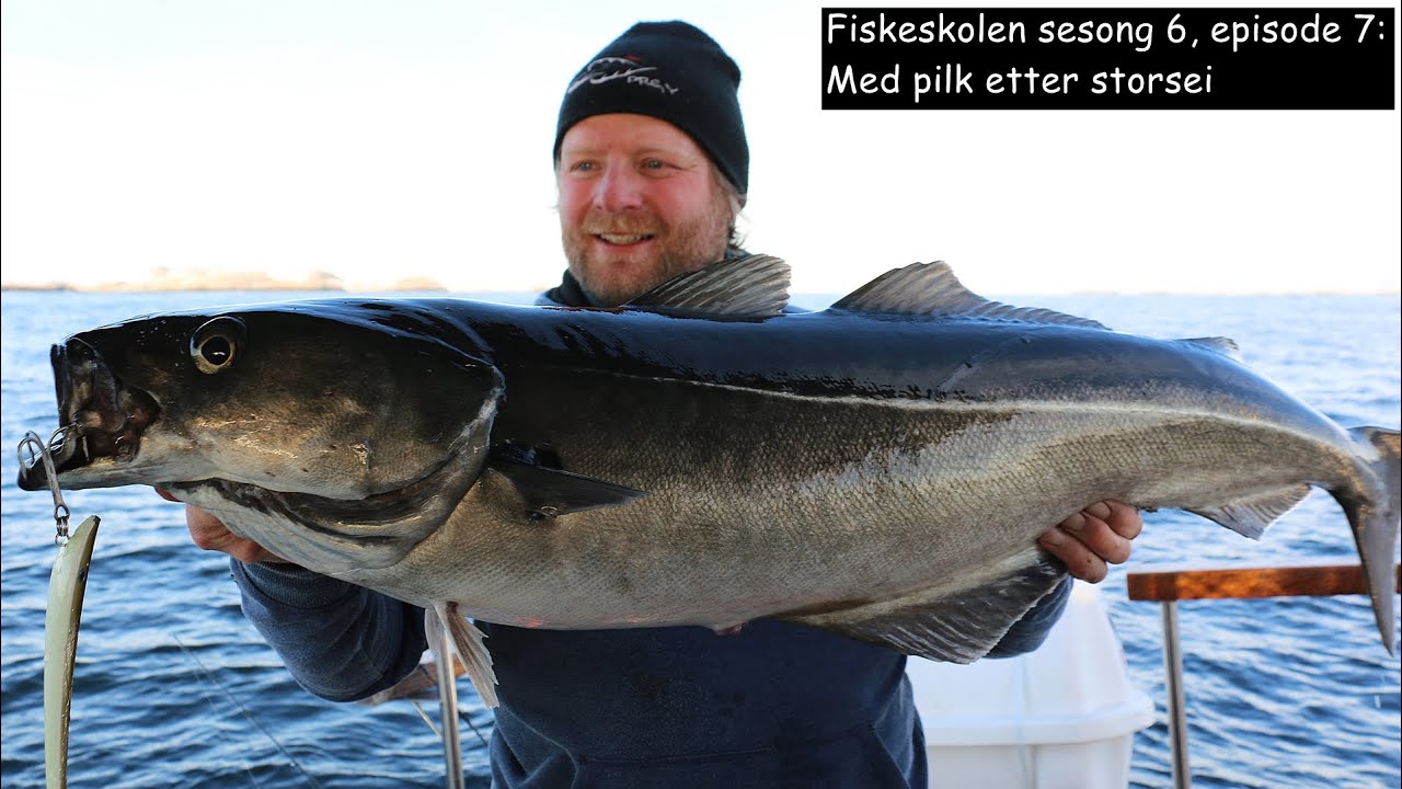 Fiskeskolen sesong 6, episode 7_ Med pilk etter storsei