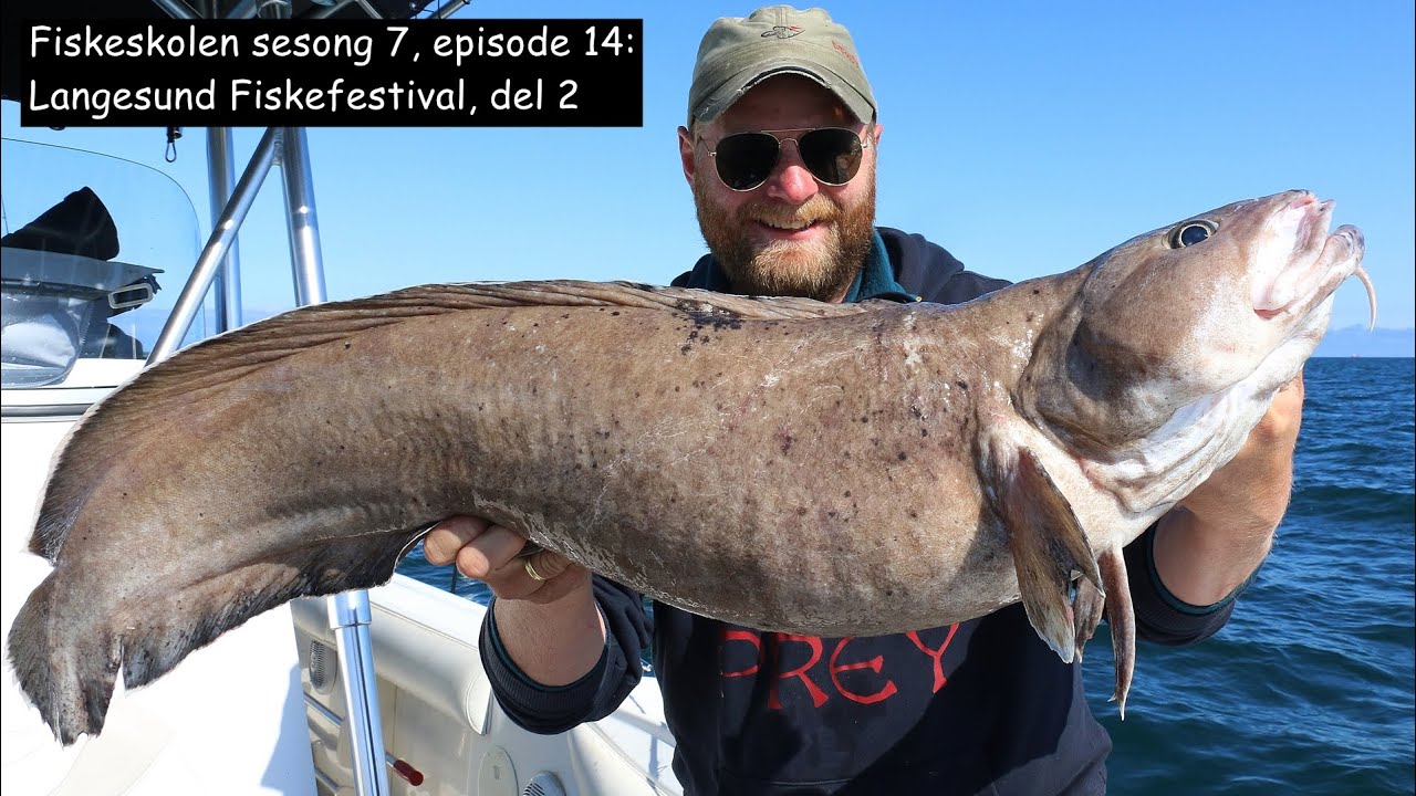 Fiskeskolen sesong 7, episode 14_ Langesund Fiskefestival, del 2