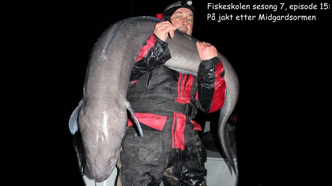 Fiskeskolen sesong 7, episode 15_ På jakt etter Midgardsormen