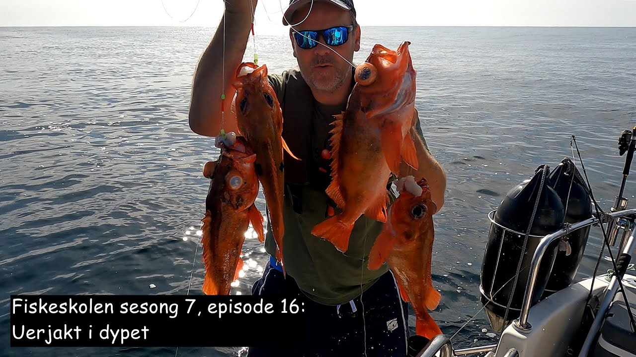 Fiskeskolen sesong 7, episode 16_ Uerjakt i dypet