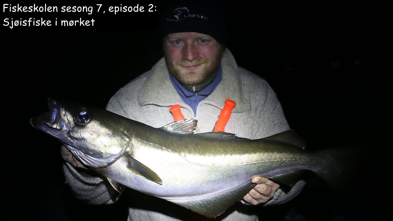 Fiskeskolen sesong 7, episode 2_ Sjøisfiske i mørket