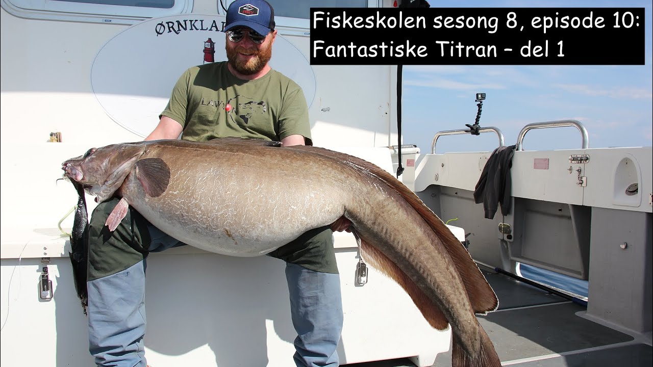 Fiskeskolen sesong 8, episode 10- Fantastiske Titran – del 1