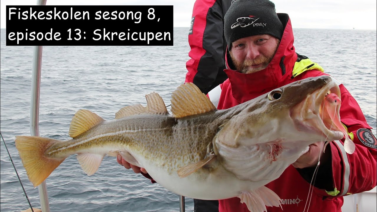 Fiskeskolen sesong 8, episode 13- Skreicupen