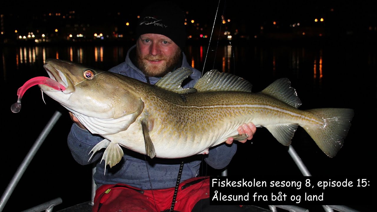 Fiskeskolen sesong 8, episode 15- Ålesund fra båt og land
