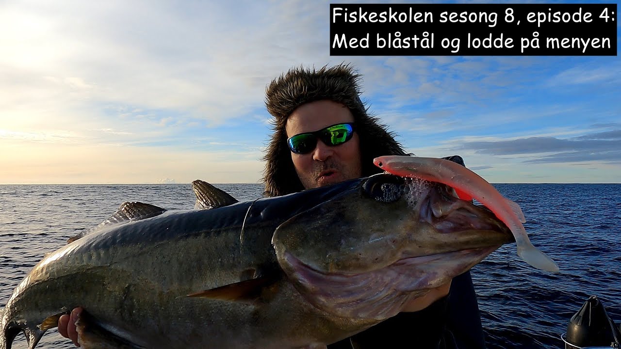 Fiskeskolen sesong 8, episode 4_ Med blåstål og lodde på menyen