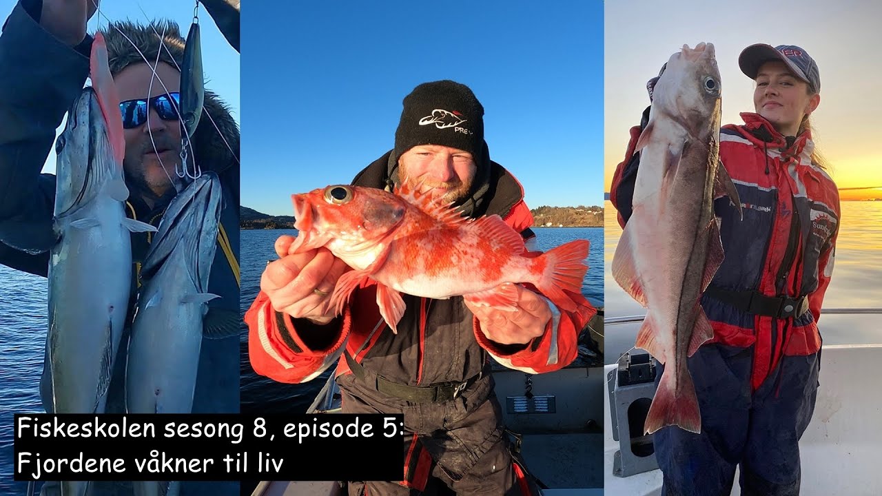 Fiskeskolen sesong 8, episode 5_ Fjordene våkner til liv