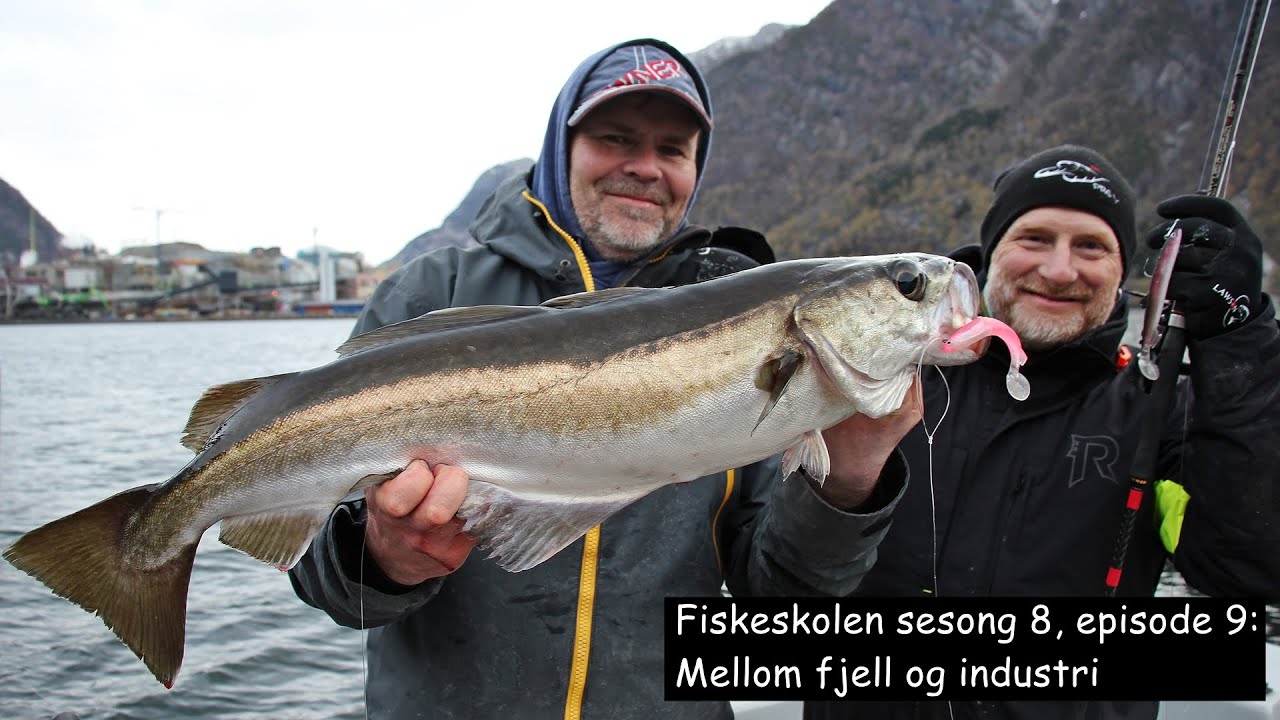 Fiskeskolen sesong 8, episode 9- Mellom fjell og industri